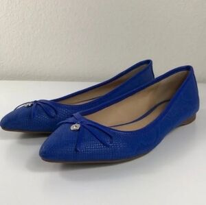 Blue flat shoes
